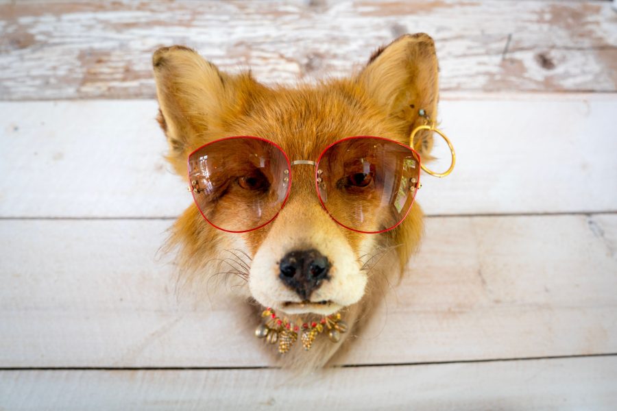 Comment choisir un accessoire renard qui tient dans le temps ?