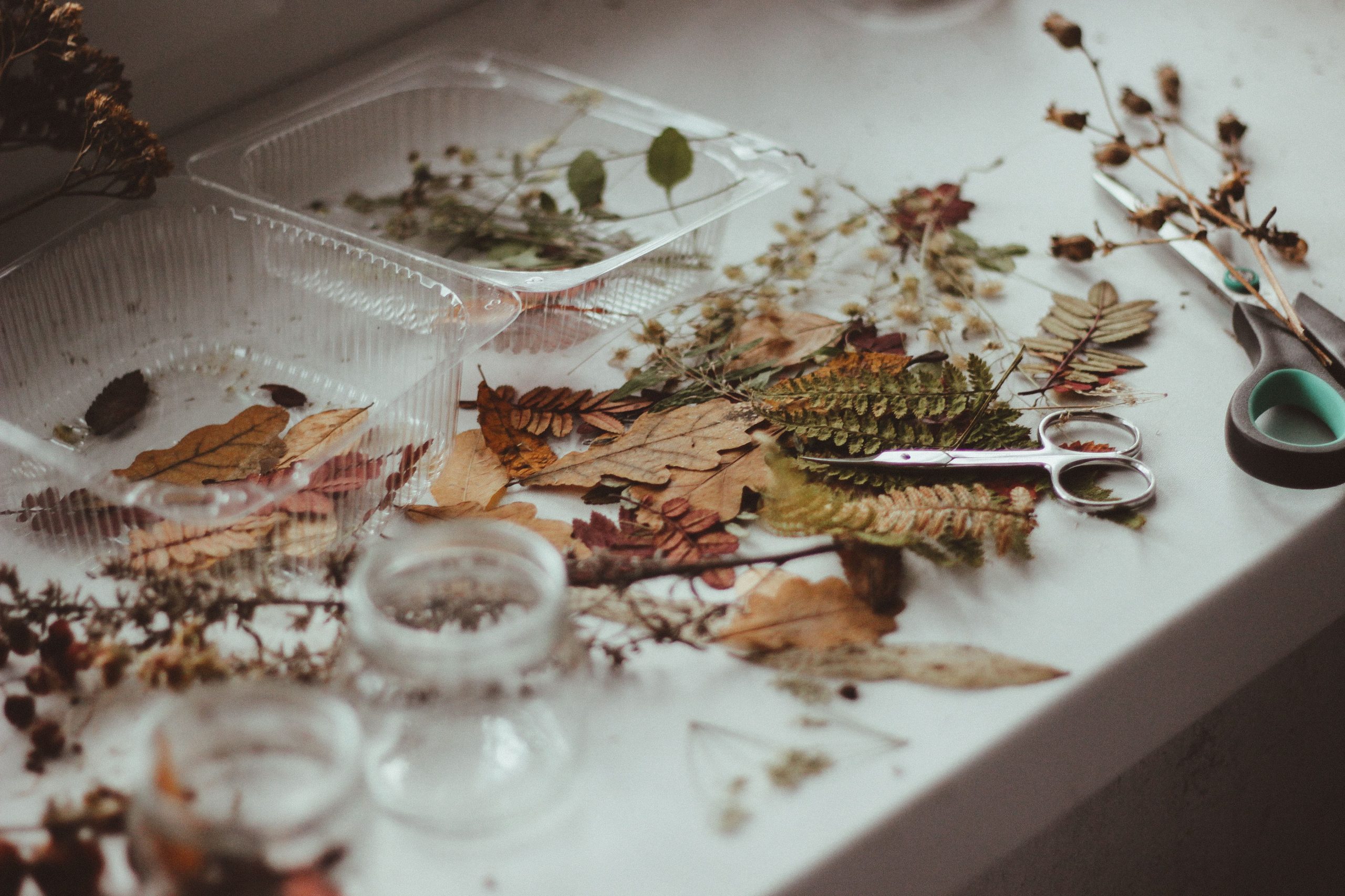 Feuilles automne ciseaux arrangement nature bricolage