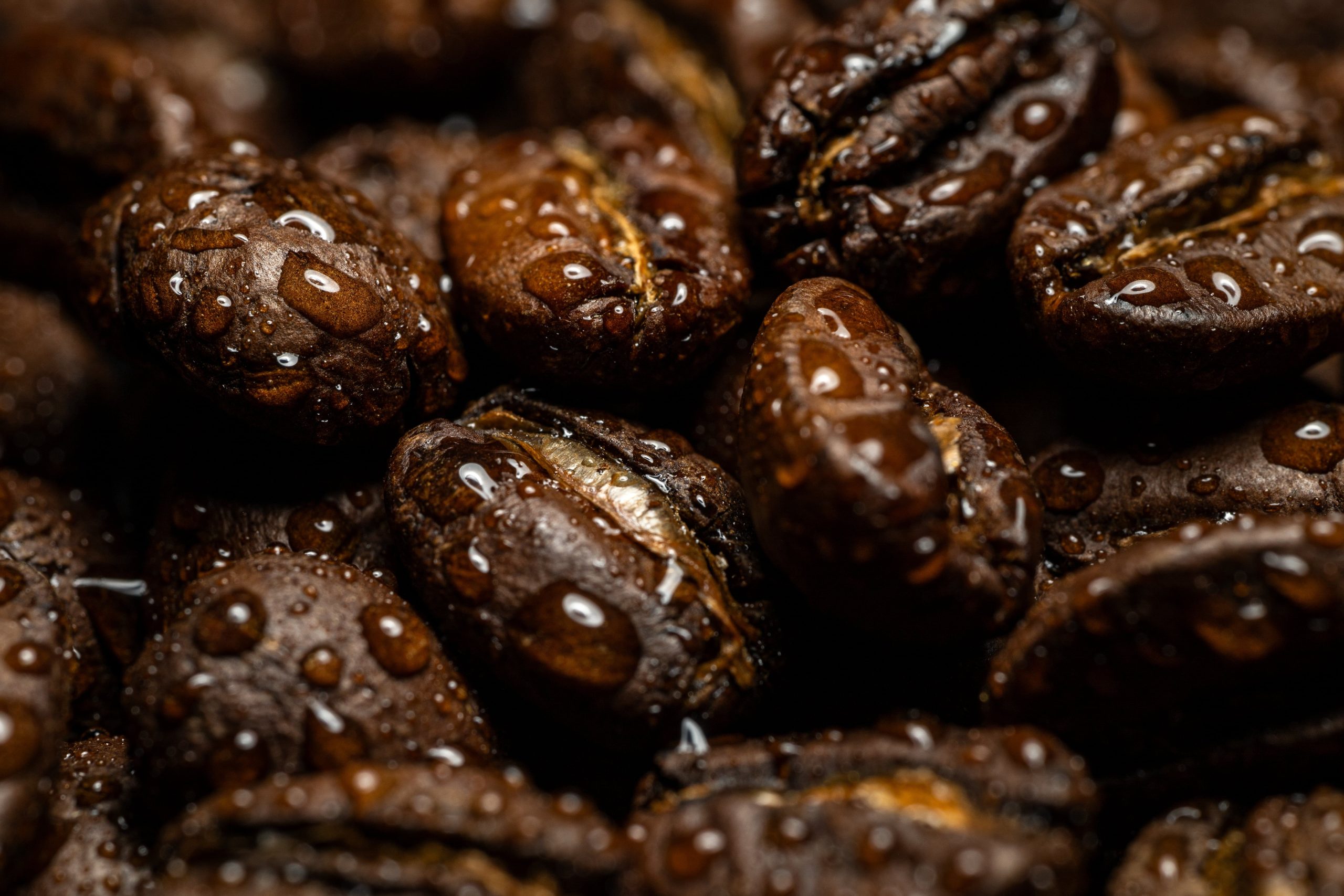 Grains de café mouillés avec gouttes d'eau texturées