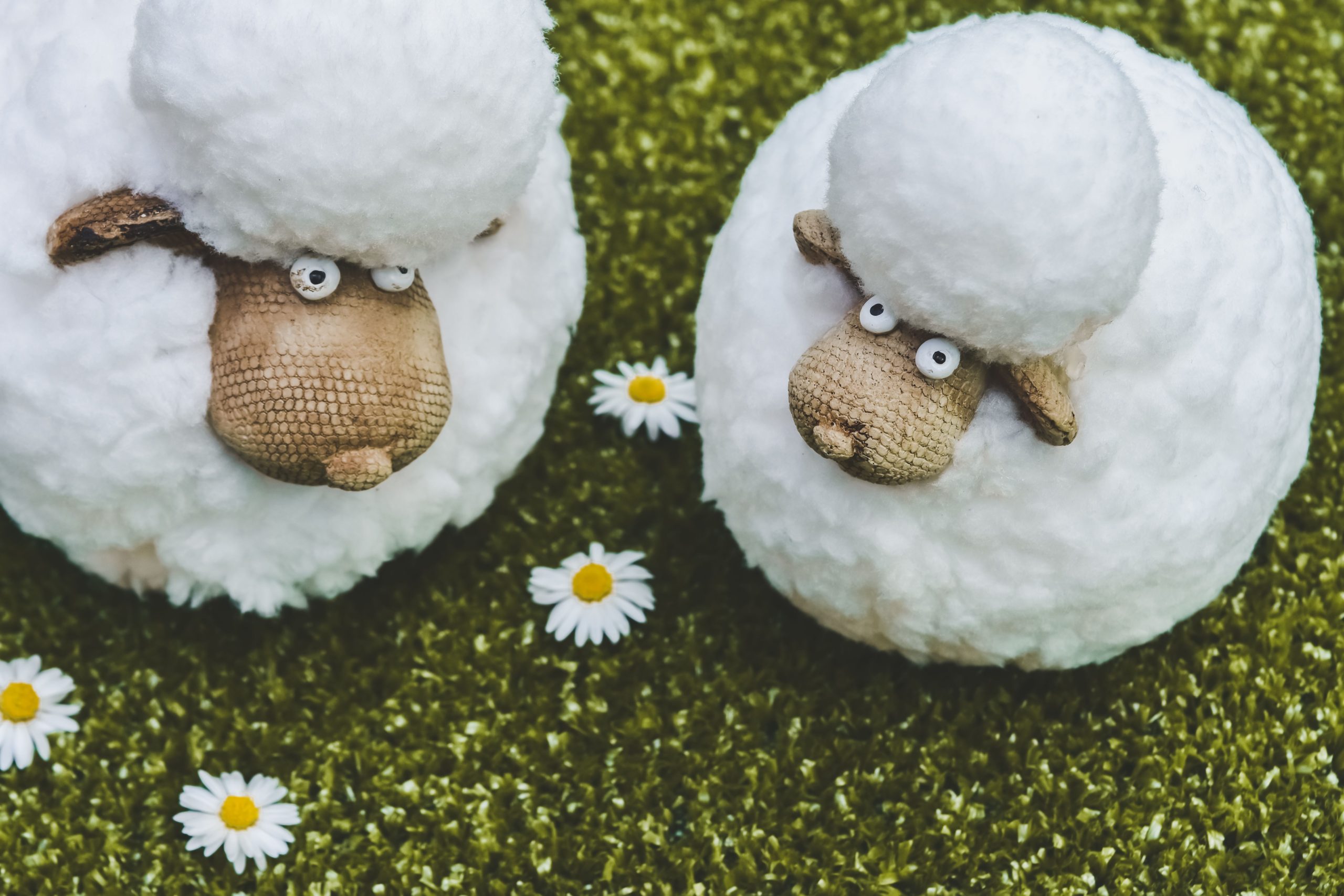Peluche mouton mignon sur herbe fleurie