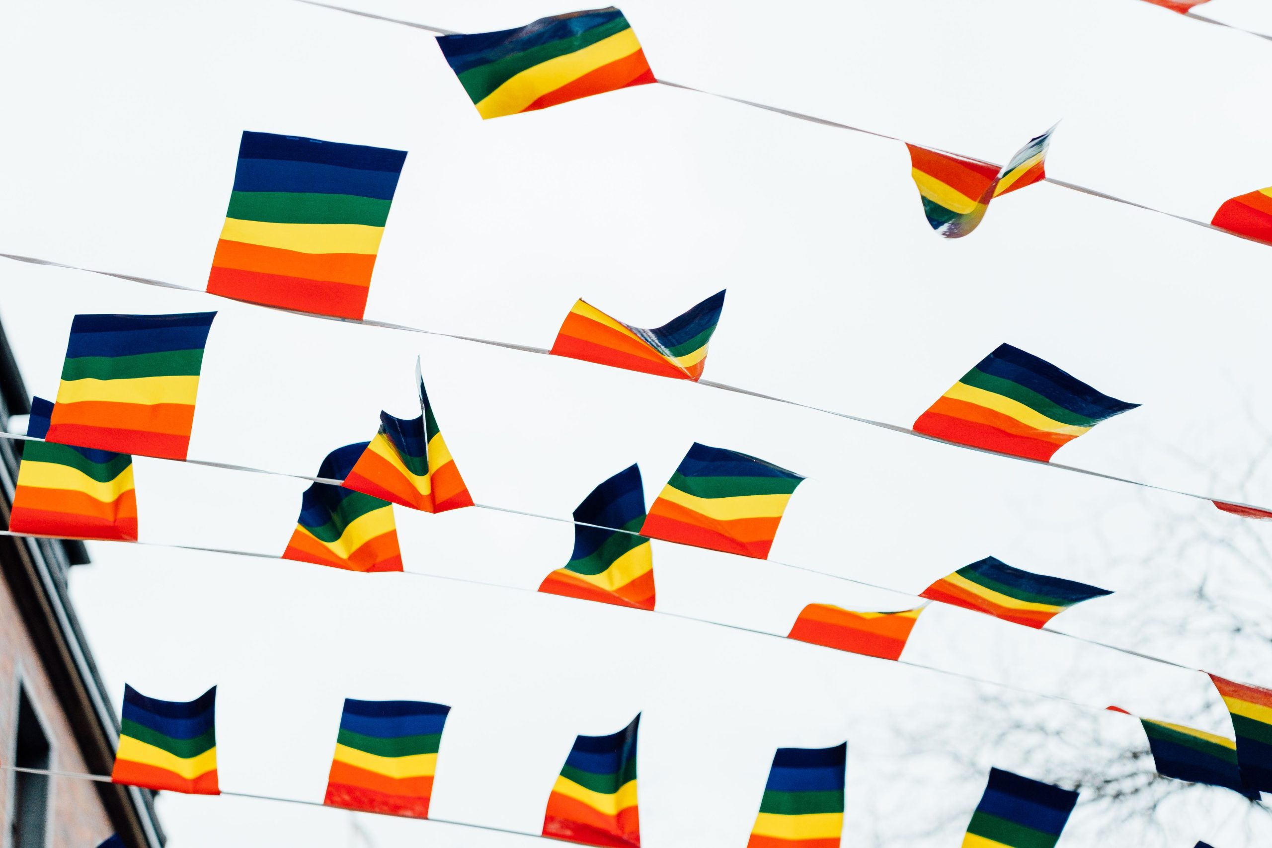 Drapeaux de fierté flottant sous un ciel clair